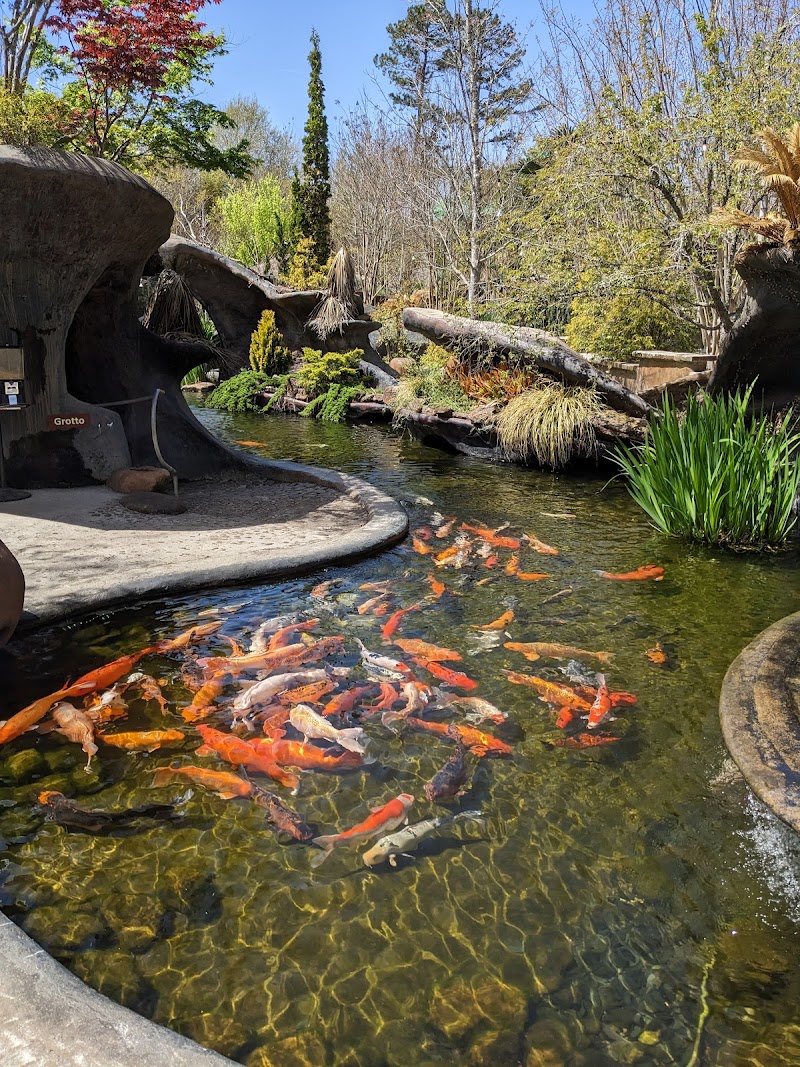 The Oasis Ranch - Photo 6
