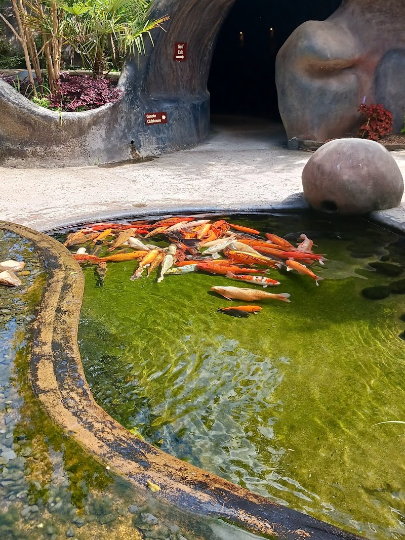 The Oasis Ranch - Photo 3