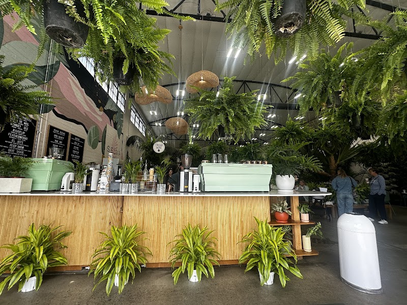 Selva Coffee House photo 4