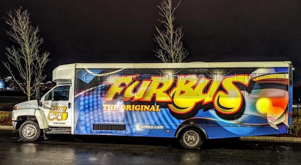 Fur Bus portfolio