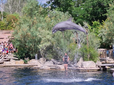 Delphinarium im Tiergarten Nürnberg