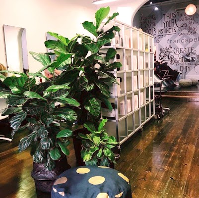 Francapelli Hairdressing Salon