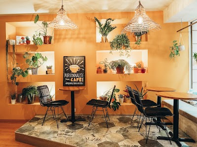 Photo Hey Mama Cathédrale