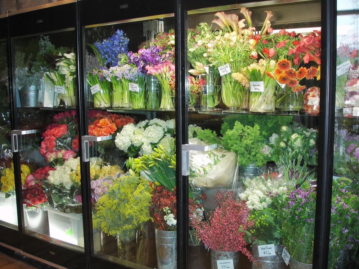 Stems, Inc.: Google Places image 5