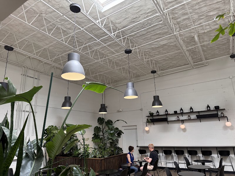 Tala Coffee Roasters - Libertyville Cafe photo 2