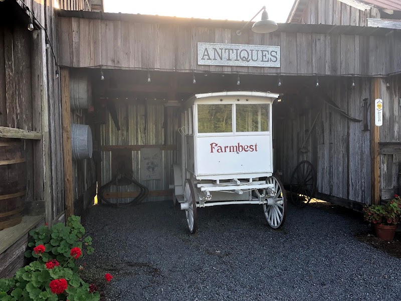 Bar JR Farm - Photo 6