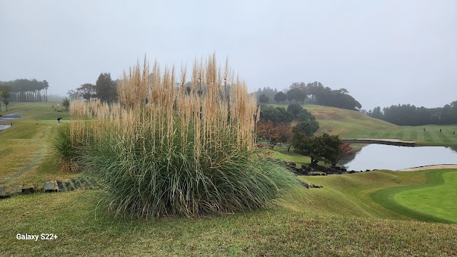 Gold Kisarazu Country Club - Photo 10