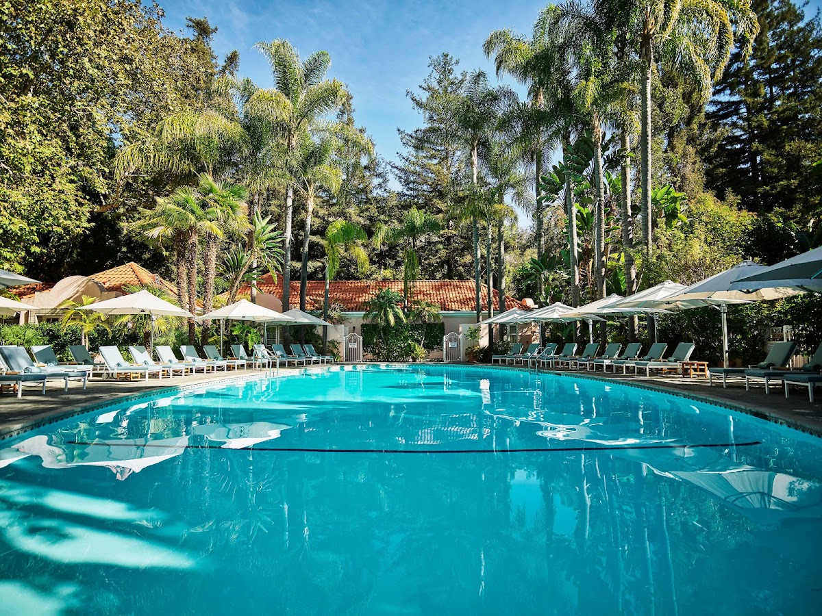 Hotel Bel-Air, dog-friendly hotel, photo 2