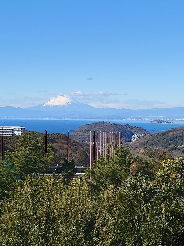 Hayama International Country Club - Photo 4