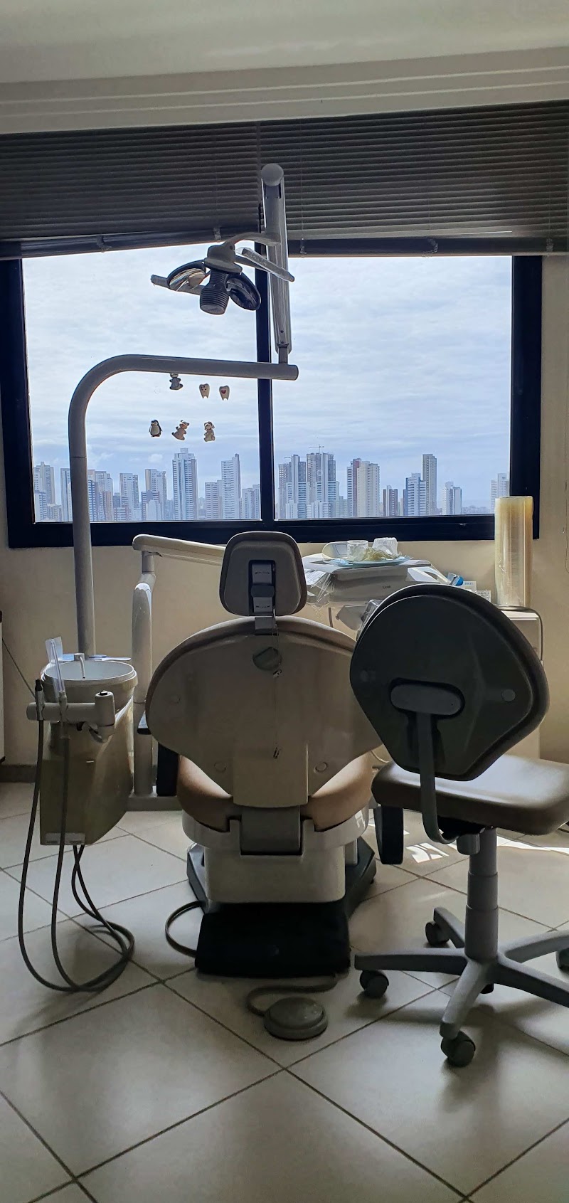 Fernanda A Camelier - foto 3