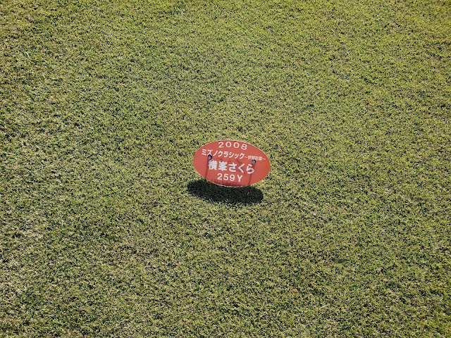 Kintetsu Kashikojima Country Club - Photo 4