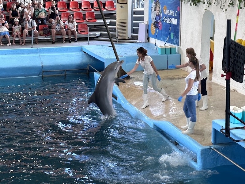 Dolphinarium Varna