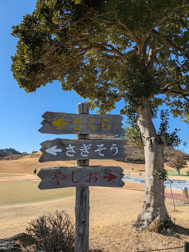 Mashiko Country Club - Photo 10