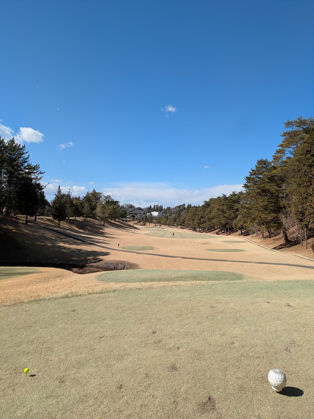 Mashiko Country Club - Photo 6