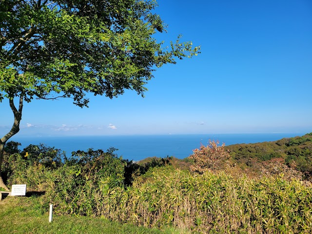 Awaji Country Club - Photo 5