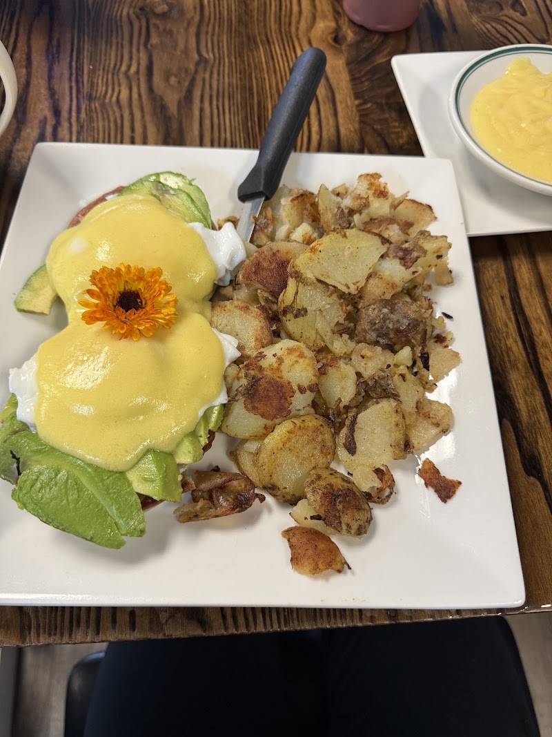 Captain's Cafe photo 4