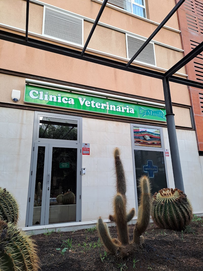 Clinica Veterinaria La Minilla