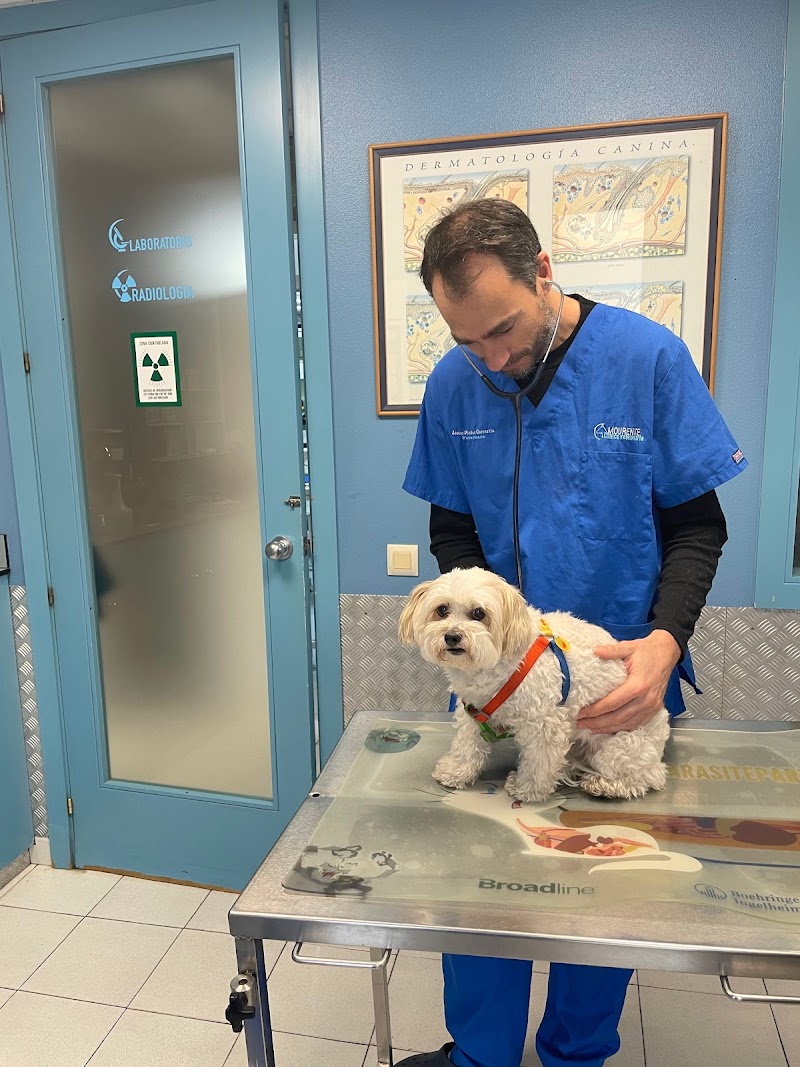 Clínica Veterinaria Mourente photo 2