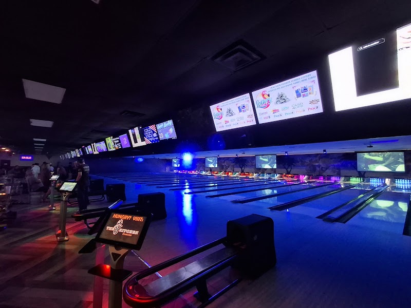 Dunedin Lanes photo 6