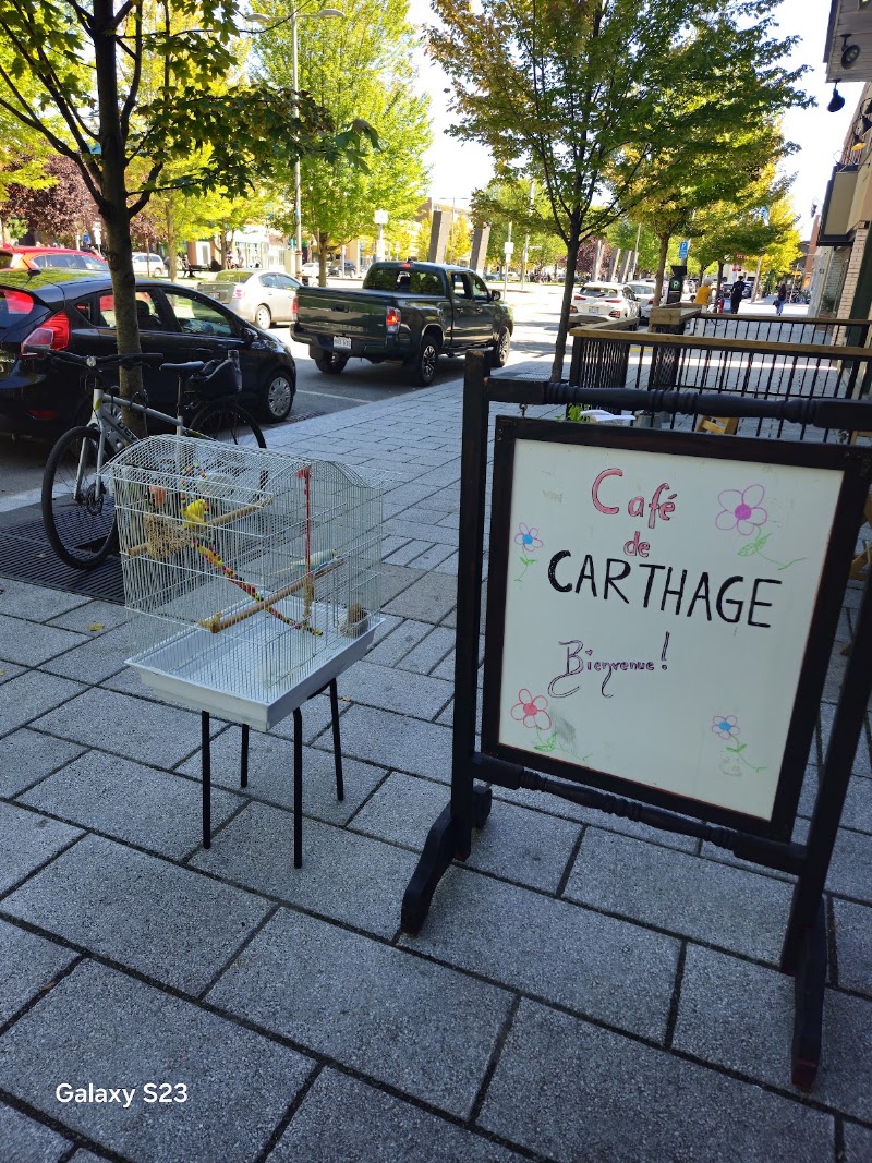 Café de Carthage photo 1