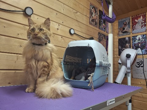 Lyde Green Pet Grooming (Cats and Dogs) in Bristol