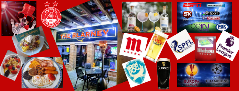 Bar The Blarney