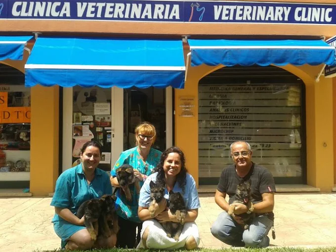 Clínica Veterinaria El Toro.
