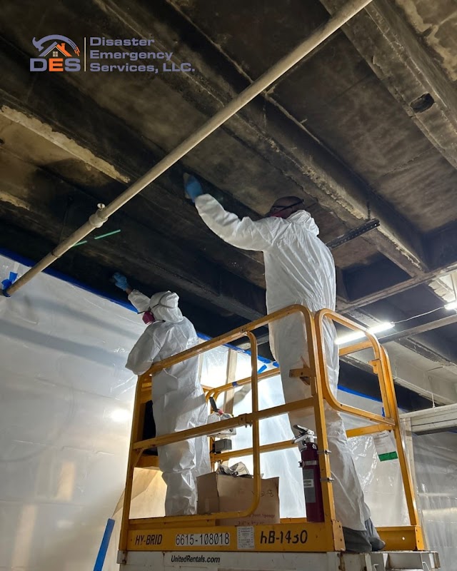 Disaster Emergency Services, LLC (Water Restoration) — photo