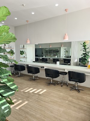 The Collab Salon photo 2