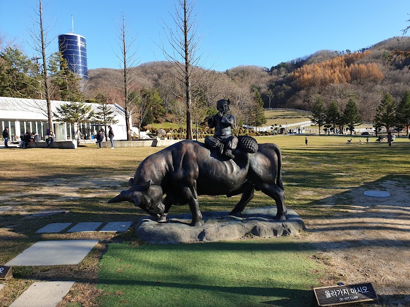 대관령 하늘목장반려견놀이터 사진 2
