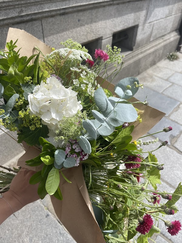 Saint Germain des Fleurs
