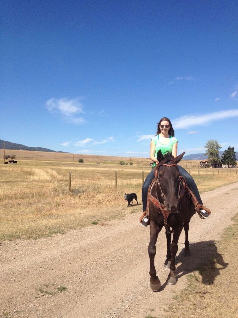 Little Valley Ranch - Photo 2