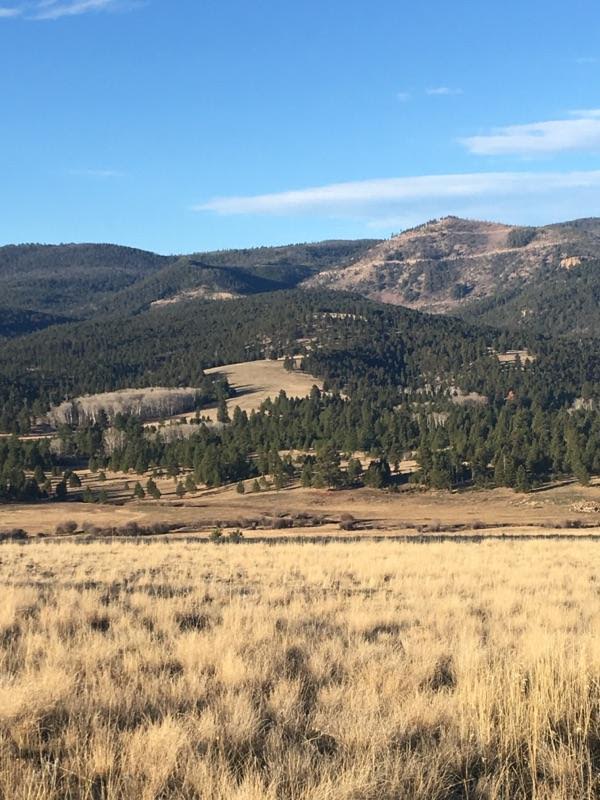 Little Valley Ranch - Photo 5