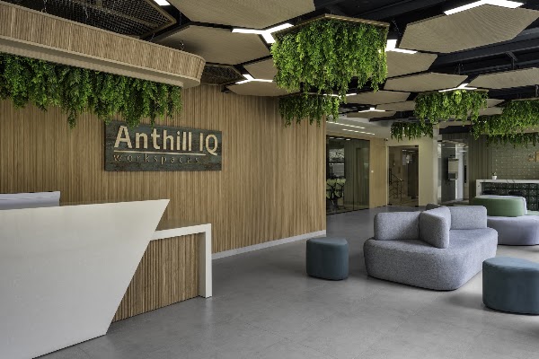 Anthill IQ Workspace | Cunningham Road