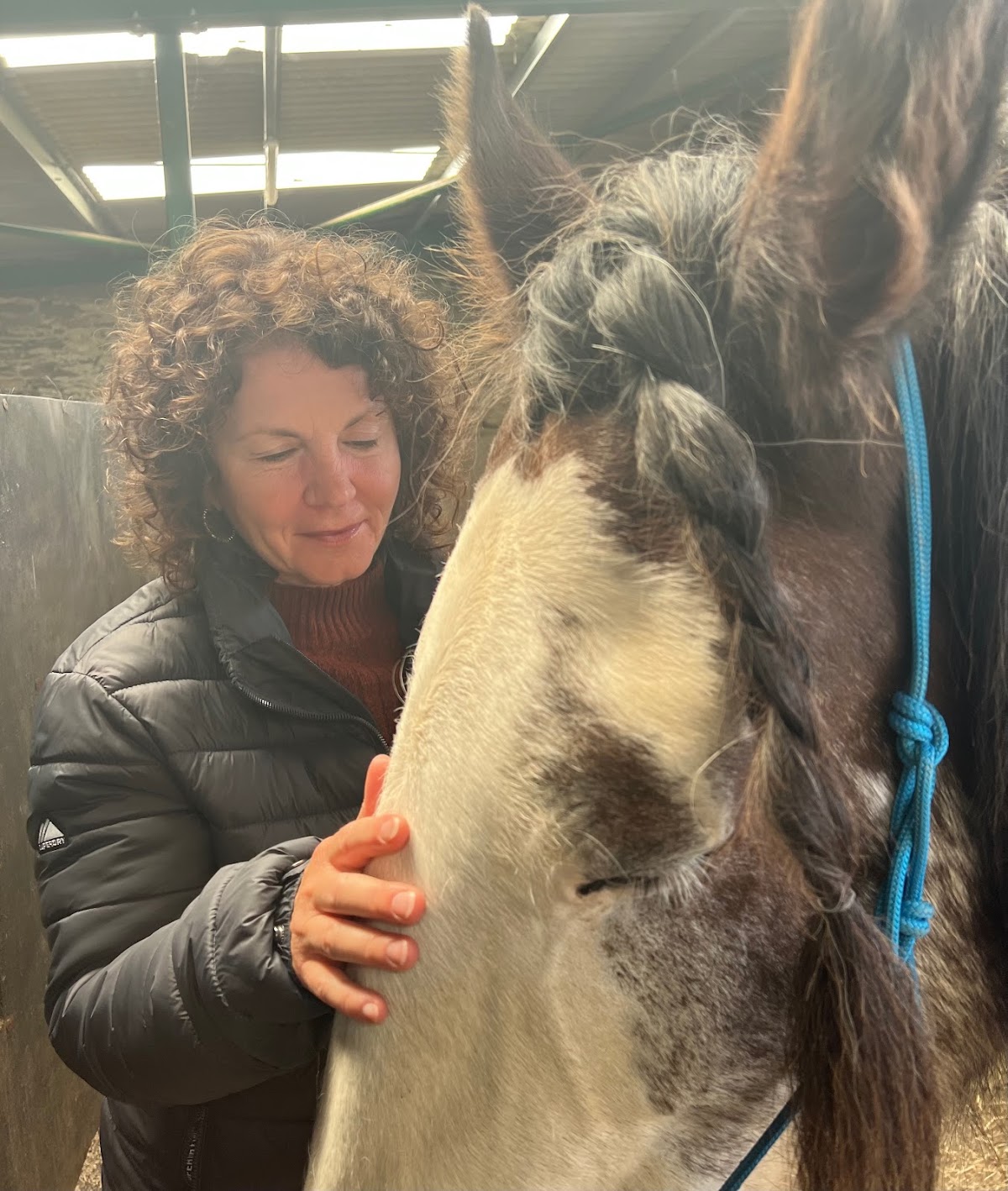 Meditation with Heavy Horses in Lake District — 3