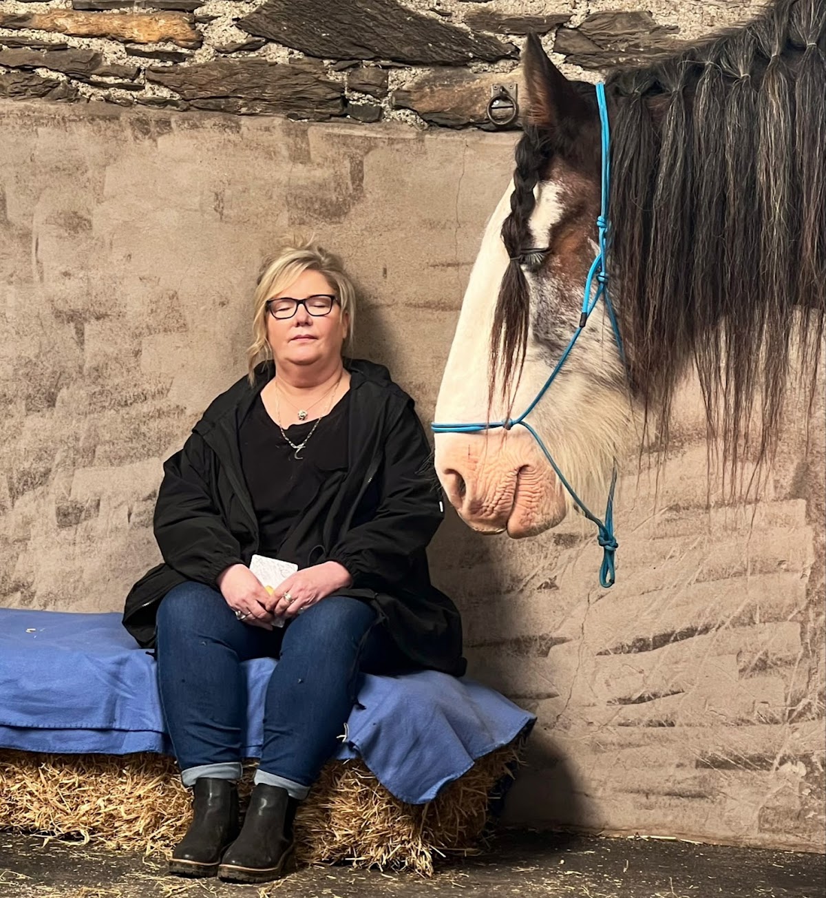 Meditation with Heavy Horses in Lake District — 4