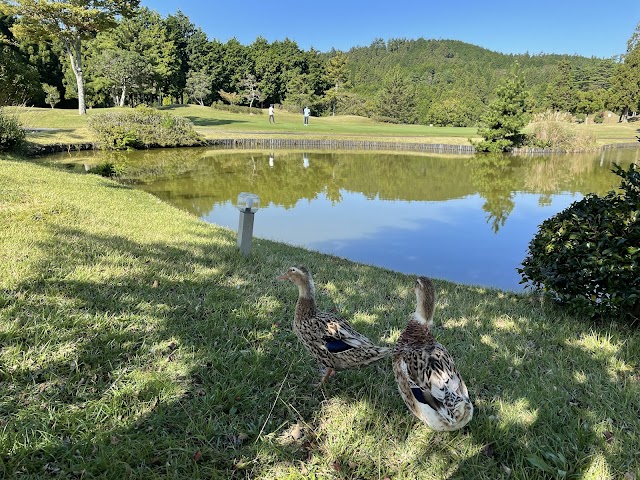 Misugi Golf Club - Photo 5
