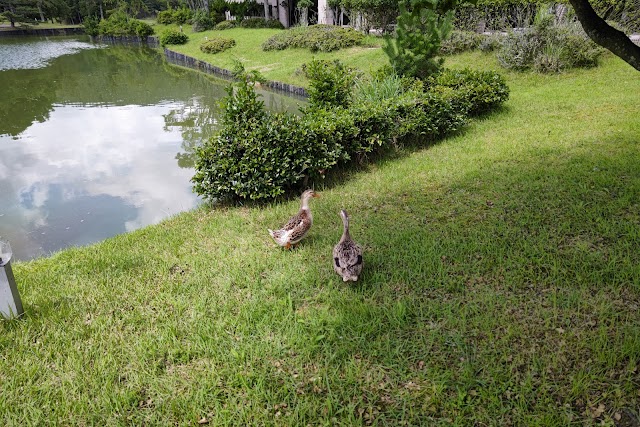 Misugi Golf Club - Photo 9