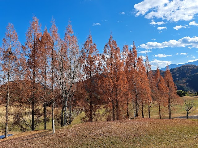Takagawa Shin Iyo Golf Club - Photo 8
