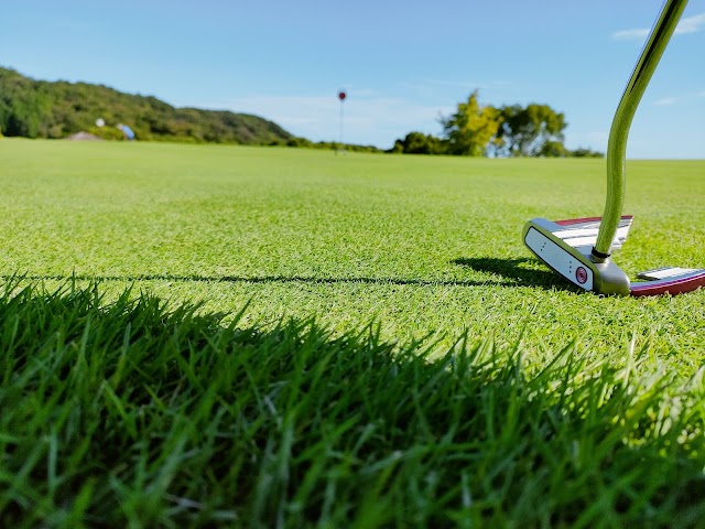 Takagawa Shin Iyo Golf Club - Photo 9