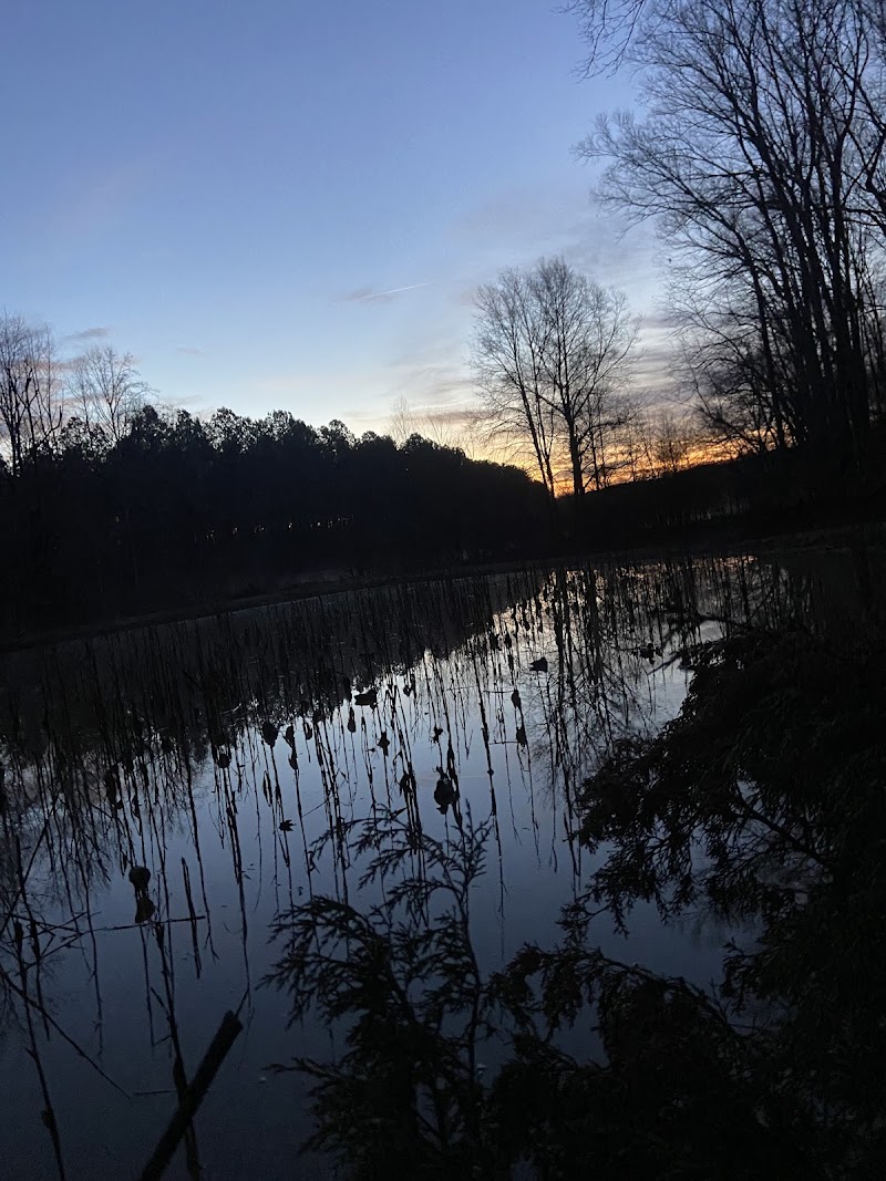 Toney Creek Plantation - Photo 4