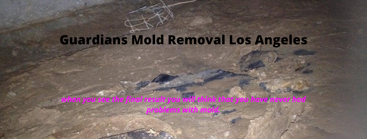 Guardians Mold Removal Los Angeles — photo