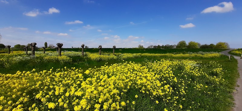 Wickelhofpark