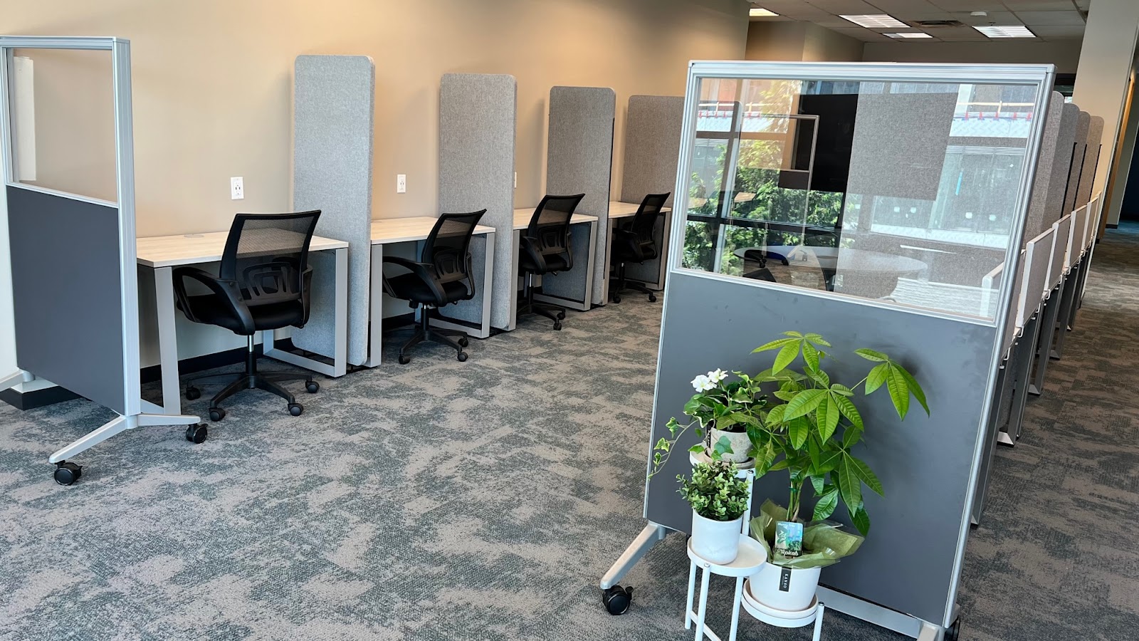 Beta Collective Burnaby