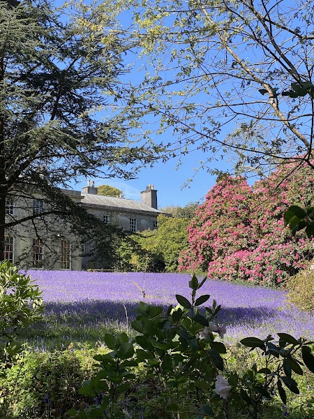 Enys Gardens
