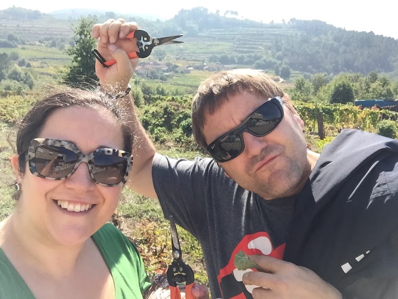 Los Vinos de Miguel S.L. photo 1