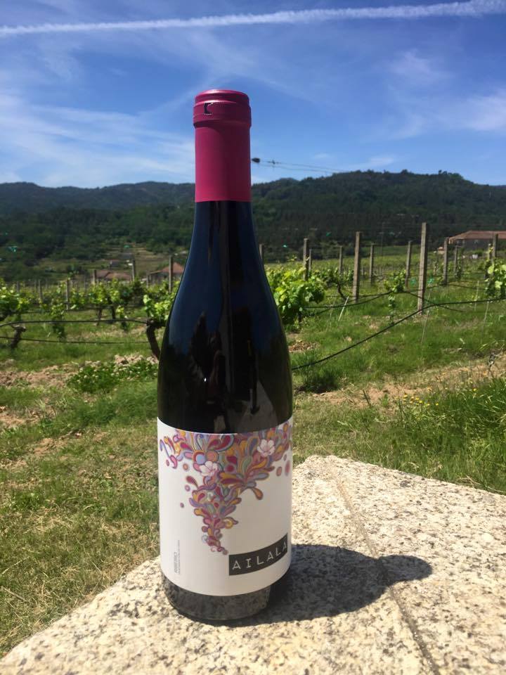 Los Vinos de Miguel S.L. photo 3