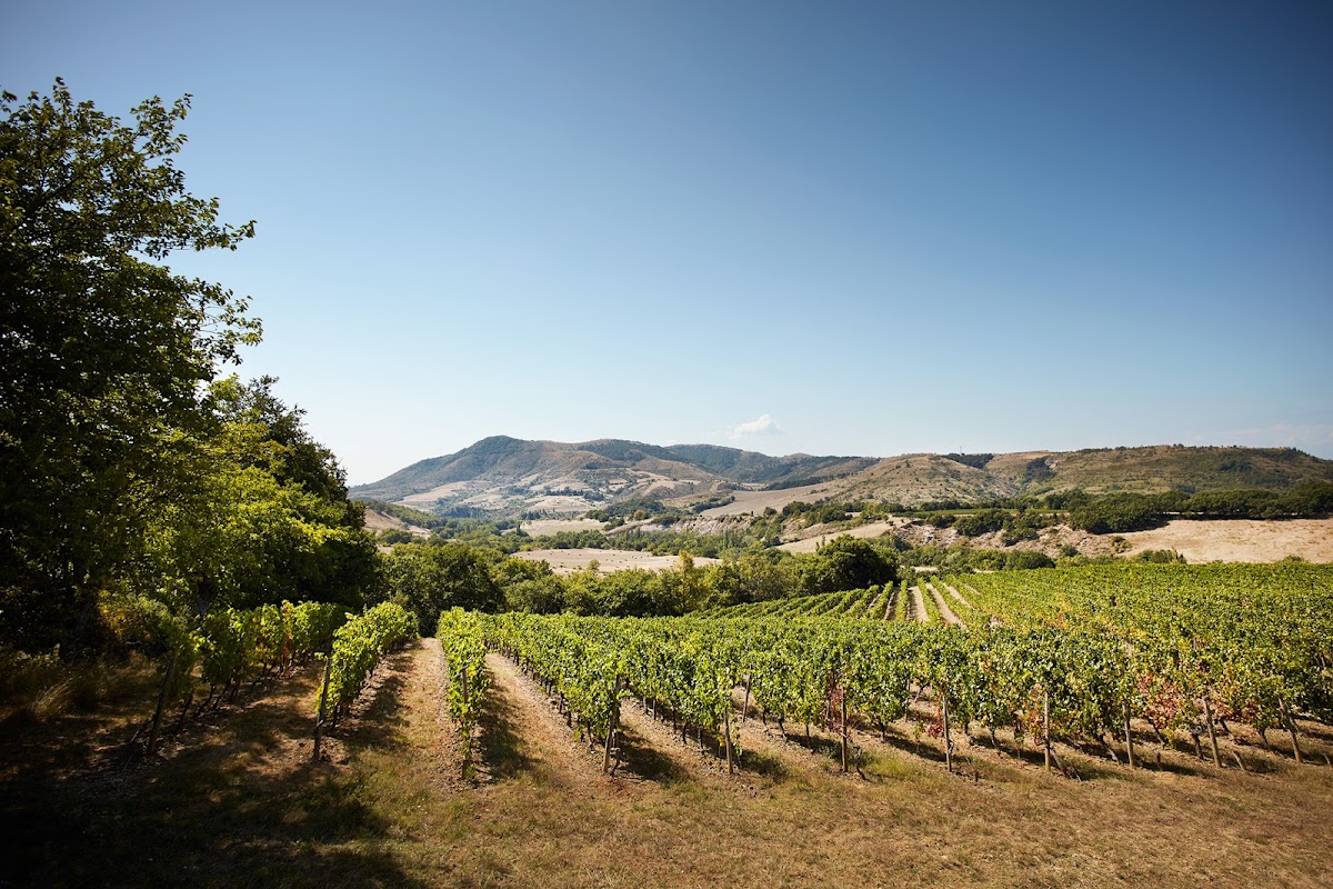 Boutique Louis Latour Ardèche
