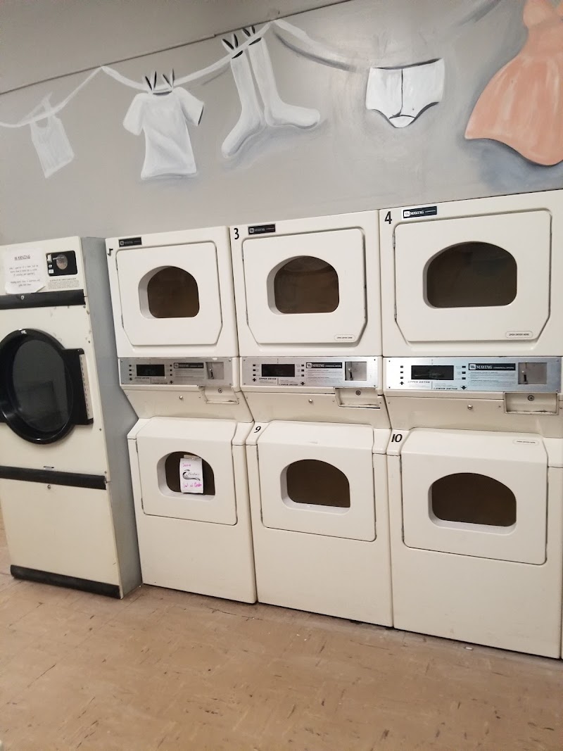 San Jose Laundry photo 1