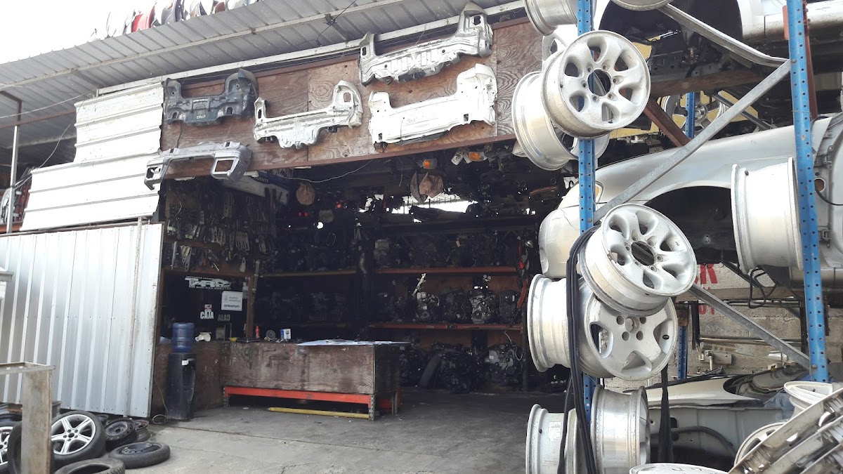 Tavarez Rodríguez Auto import srl - Imagen 2